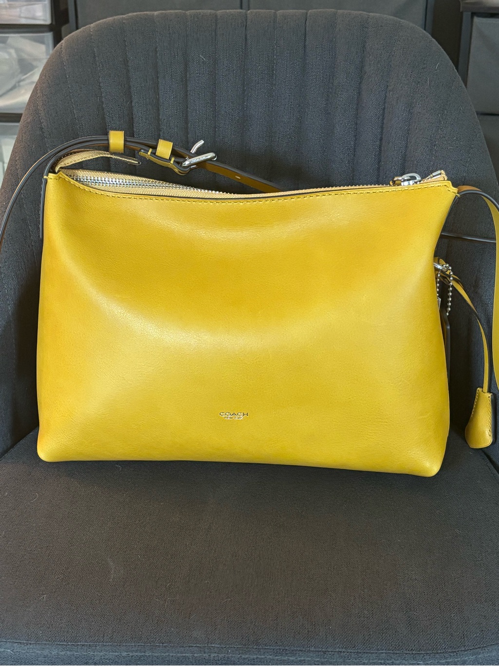 Coach Mott 33 In Honeycomb Nwt | Rare & Hard To Find